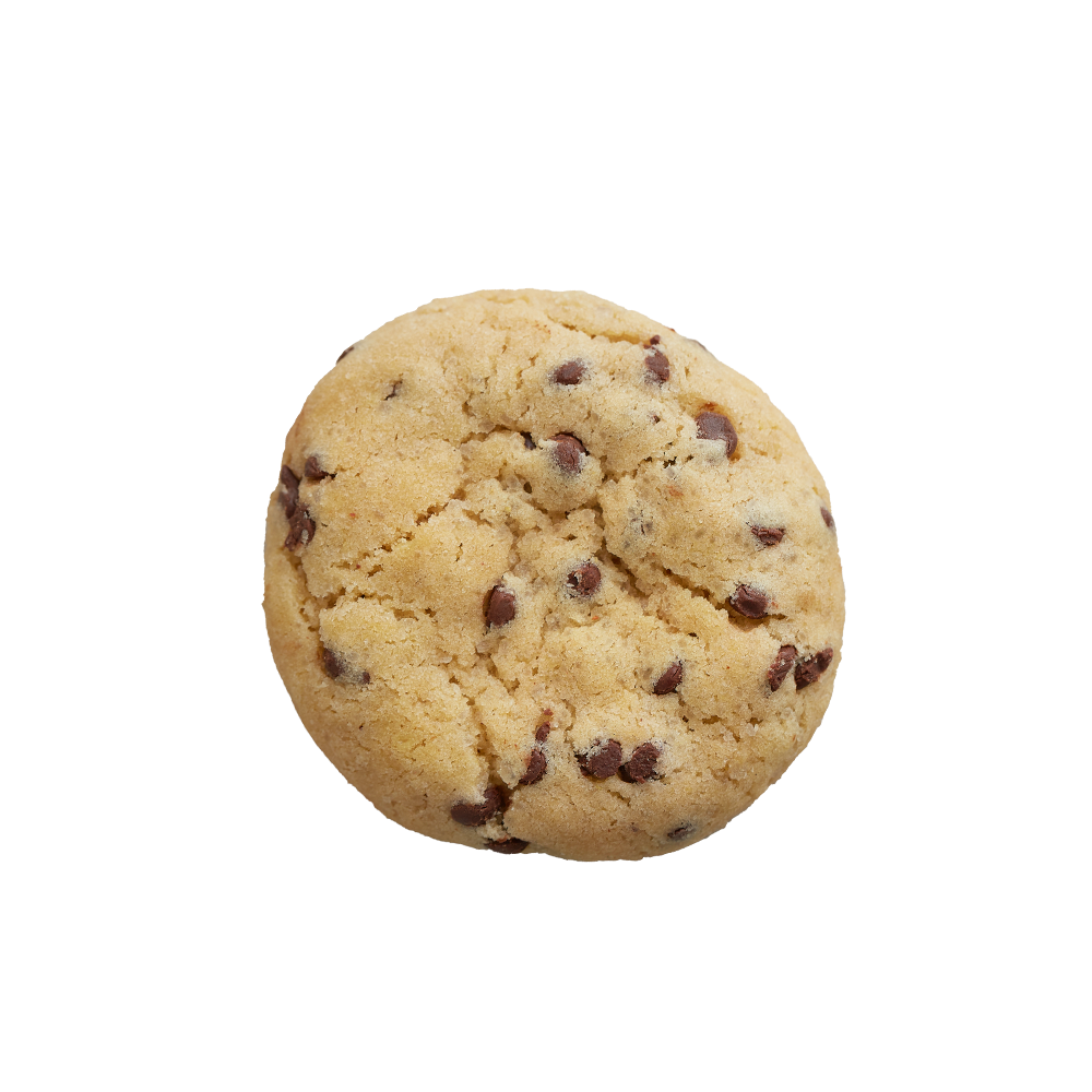 Chocolate chip  cookie